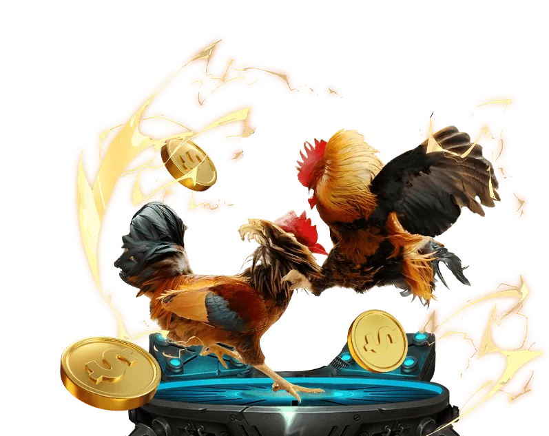 Tổng quan nền tảng iun88